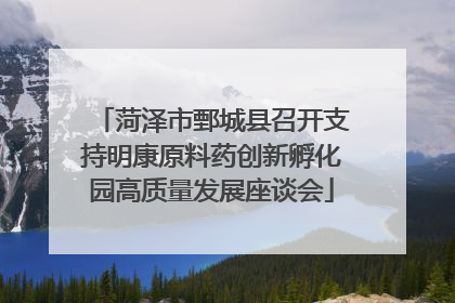 菏泽市鄄城县召开支持明康原料药创新孵化园高质量发展座谈会