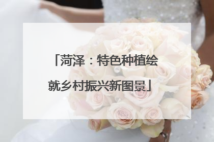 菏泽：特色种植绘就乡村振兴新图景