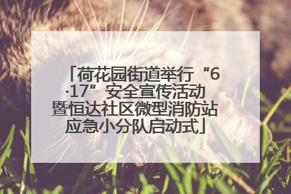 荷花园街道举行“6·17”安全宣传活动暨恒达社区微型消防站应急小分队启动式