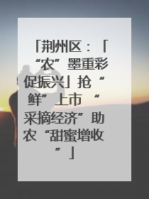 荆州区：「“农”墨重彩促振兴」抢“鲜”上市 “采摘经济”助农“甜蜜增收”