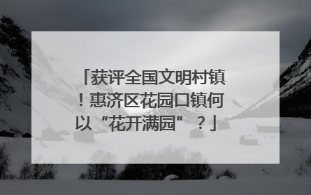 获评全国文明村镇！惠济区花园口镇何以“花开满园”？