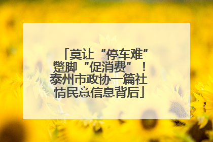 莫让“停车难”蹩脚“促消费”！泰州市政协一篇社情民意信息背后