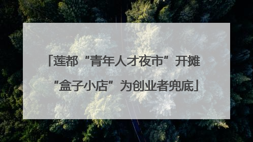 莲都“青年人才夜市”开摊 “盒子小店”为创业者兜底