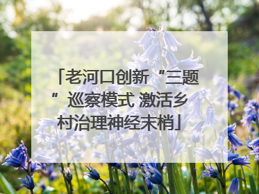 老河口创新“三题”巡察模式 激活乡村治理神经末梢