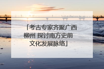 考古专家齐聚广西柳州 探讨南方史前文化发展脉络