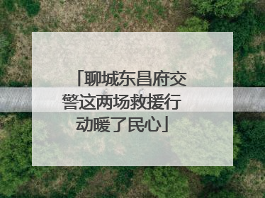 聊城东昌府交警这两场救援行动暖了民心