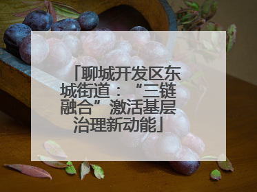 聊城开发区东城街道：“三链融合”激活基层治理新动能