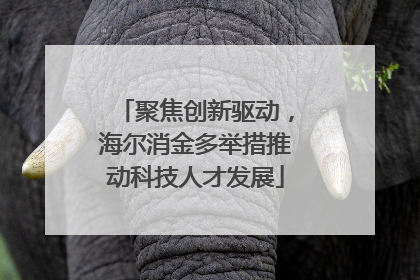 聚焦创新驱动，海尔消金多举措推动科技人才发展