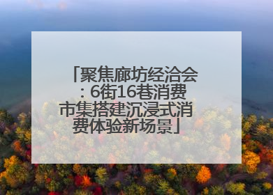 聚焦廊坊经洽会：6街16巷消费市集搭建沉浸式消费体验新场景