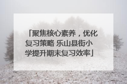 聚焦核心素养，优化复习策略 乐山县街小学提升期末复习效率