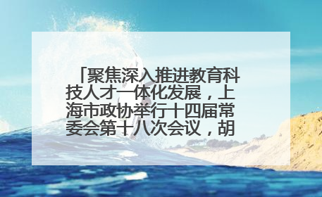 聚焦深入推进教育科技人才一体化发展，上海市政协举行十四届常委会第十八次会议，胡文容出席并讲话