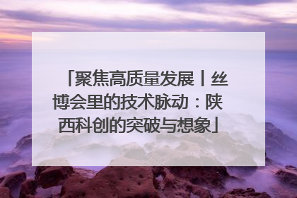 聚焦高质量发展丨丝博会里的技术脉动：陕西科创的突破与想象