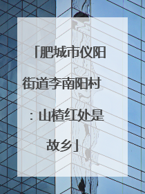 肥城市仪阳街道李南阳村：山楂红处是故乡