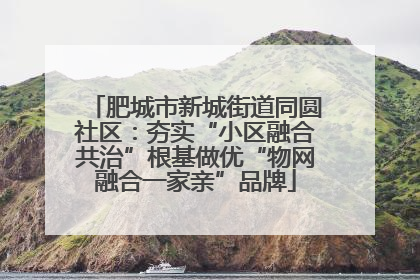 肥城市新城街道同圆社区：夯实“小区融合共治”根基做优“物网融合一家亲”品牌