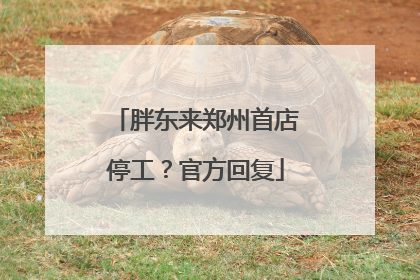 胖东来郑州首店停工？官方回复