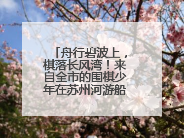 舟行碧波上，棋落长风湾！来自全市的围棋少年在苏州河游船上展开对决