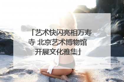 艺术快闪亮相万寿寺 北京艺术博物馆开展文化雅集
