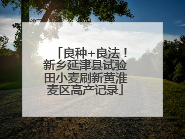 良种+良法！新乡延津县试验田小麦刷新黄淮麦区高产记录