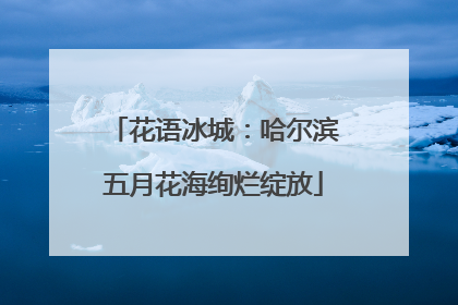 花语冰城：哈尔滨五月花海绚烂绽放