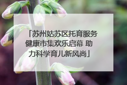 苏州姑苏区托育服务健康市集欢乐启幕 助力科学育儿新风尚