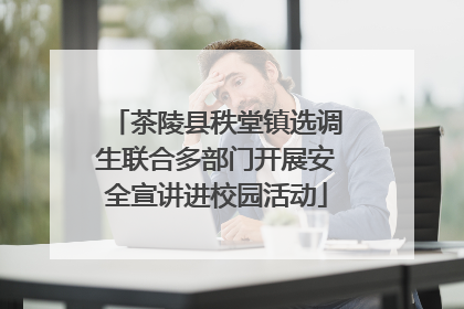 茶陵县秩堂镇选调生联合多部门开展安全宣讲进校园活动