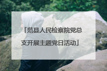 范县人民检察院党总支开展主题党日活动