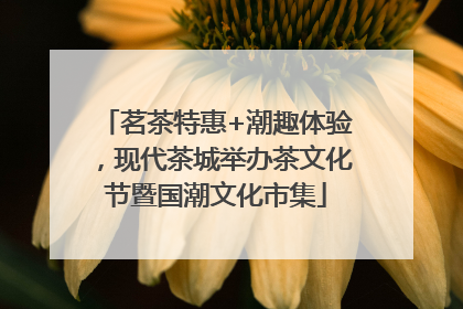 茗茶特惠+潮趣体验，现代茶城举办茶文化节暨国潮文化市集