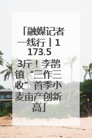 融媒记者一线行丨1173.53斤！李鹊镇“三作三收”首季小麦亩产创新高
