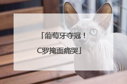 葡萄牙夺冠！C罗掩面痛哭
