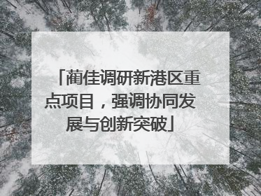 蔺佳调研新港区重点项目，强调协同发展与创新突破