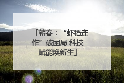 蕲春：“虾稻连作”破困局 科技赋能焕新生