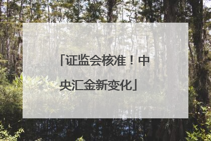 证监会核准！中央汇金新变化