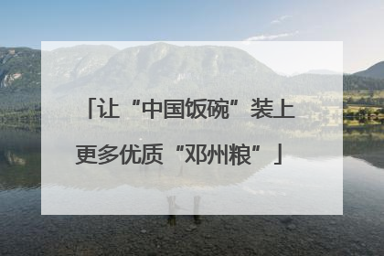 让“中国饭碗”装上更多优质“邓州粮”