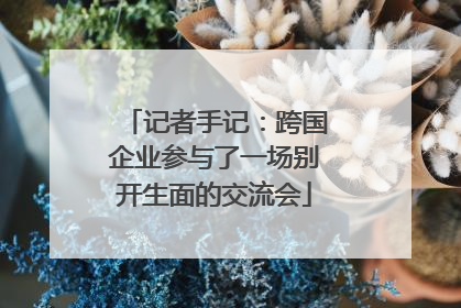 记者手记：跨国企业参与了一场别开生面的交流会