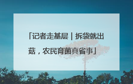 记者走基层｜拆袋就出菇，农民育菌真省事