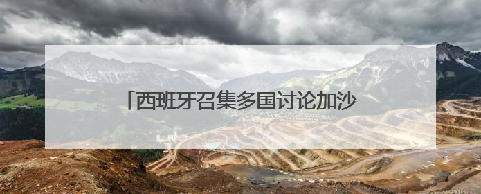 西班牙召集多国讨论加沙局势 呼吁制裁以色列