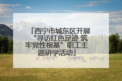 西宁市城东区开展“寻访红色足迹 筑牢党性根基”职工主题研学活动