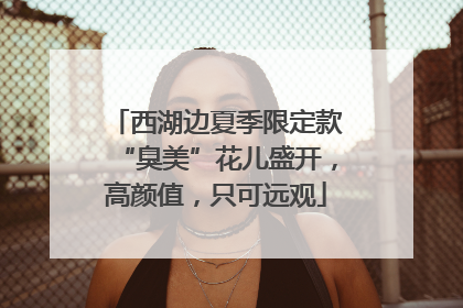 西湖边夏季限定款“臭美”花儿盛开，高颜值，只可远观