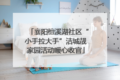 襄阳檀溪湖社区“小手拉大手”洁城靓家园活动暖心收官