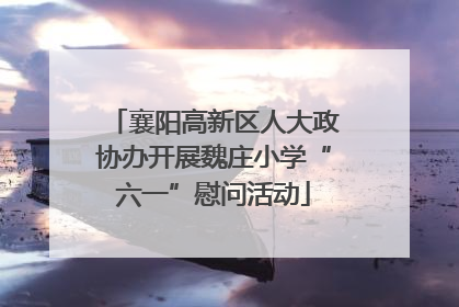 襄阳高新区人大政协办开展魏庄小学“六一”慰问活动