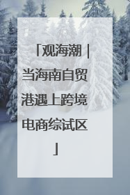 观海潮｜当海南自贸港遇上跨境电商综试区