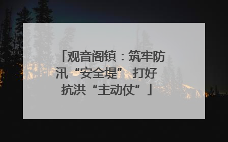 观音阁镇：筑牢防汛“安全堤” 打好抗洪“主动仗”