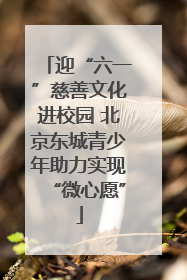 迎“六一”慈善文化进校园 北京东城青少年助力实现“微心愿”