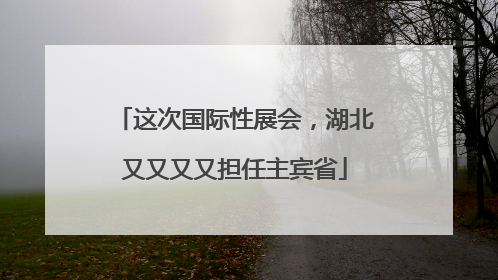 这次国际性展会，湖北又又又又担任主宾省