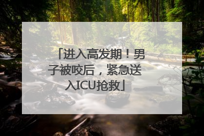进入高发期！男子被咬后，紧急送入ICU抢救