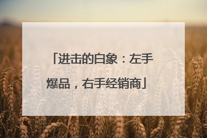 进击的白象：左手爆品，右手经销商