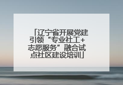 辽宁省开展党建引领“专业社工+志愿服务”融合试点社区建设培训