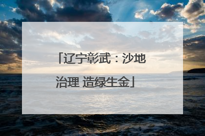 辽宁彰武：沙地治理 造绿生金
