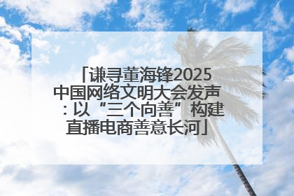 谦寻董海锋2025中国网络文明大会发声：以“三个向善”构建直播电商善意长河