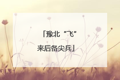 豫北“飞”来后备尖兵